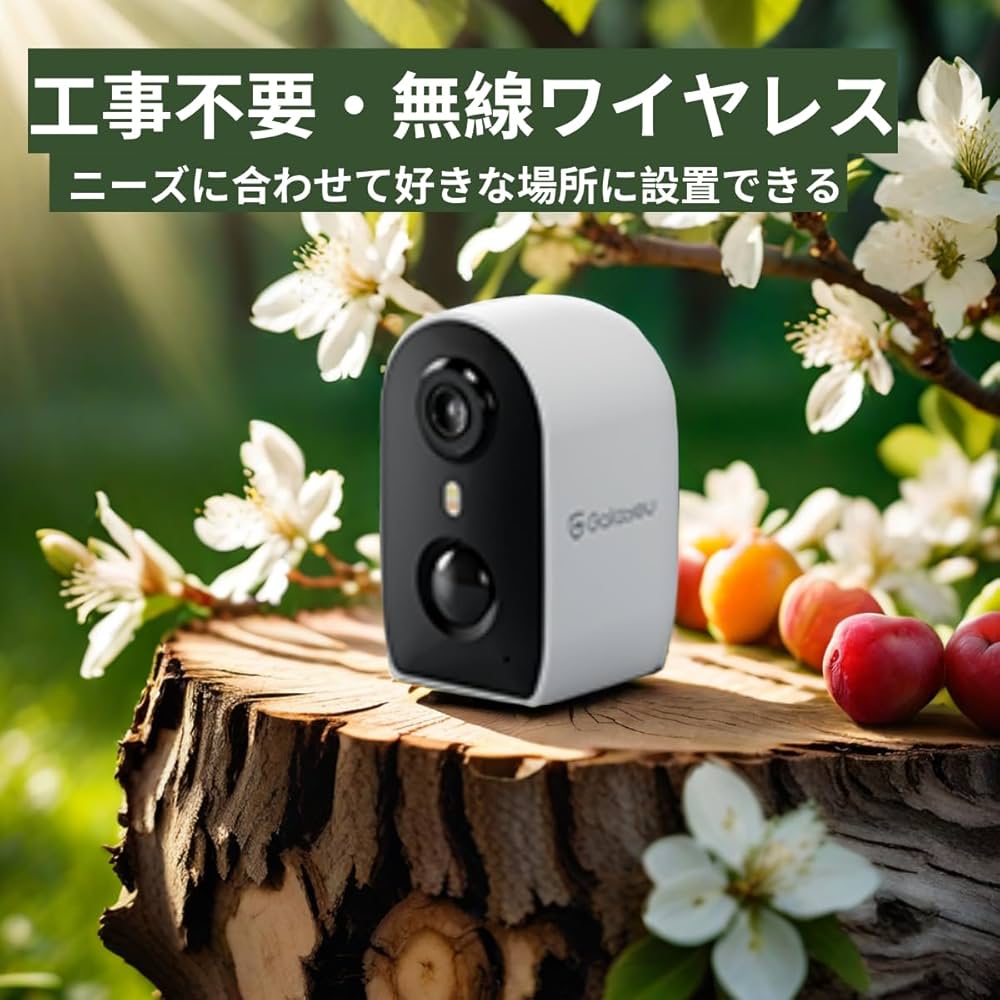 Amazon.co.jp: Galayou R2【充電式・屋外防水防犯カメラ】300万